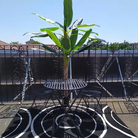 2 Pieces, Terrasse 18 M2, Pres De Strasbourg Schiltigheim